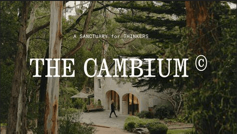 The Cambium